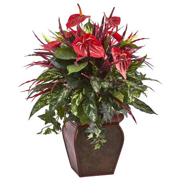Anthurium Mixed Plant With Planter