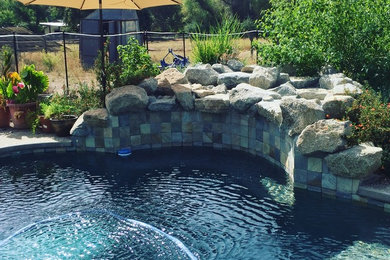 This is an example of a mid-sized traditional backyard custom-shaped natural pool in Sacramento with a hot tub and natural stone pavers.