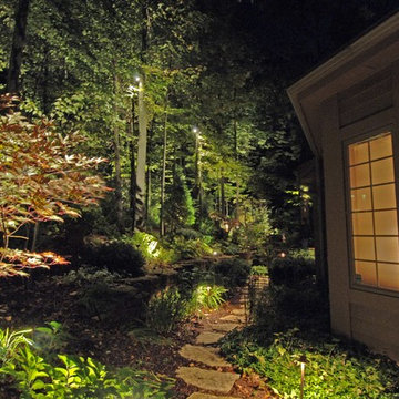 Backyard Lighting Examples