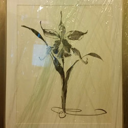 "Studies In Ink - Cattleya" - Fine Art Prints