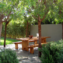Landscape Ideas