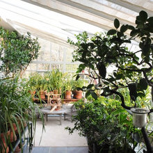 greenhouse