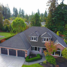 Roof Shingles