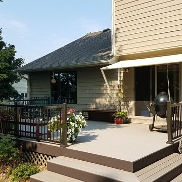 Palm - Railing Project