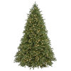 9' Jersey Fraser Fir Tree With Clear Lights