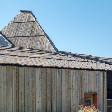 Houzz Tour: Wild Cats