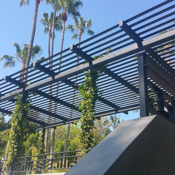 Custom Trellis and Guard Rails