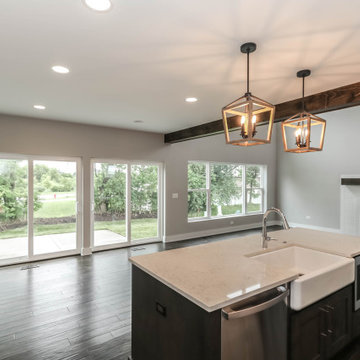 Modified Laguna I | Reserves of Dunmoor Estates Plainfield, IL