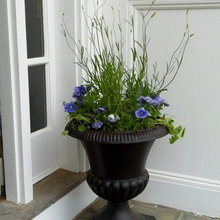 Container Planting