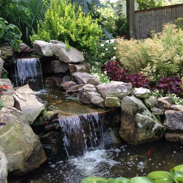Pond Gallery