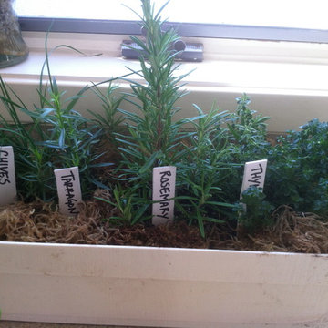 Vegetable & Herb Gardens