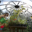 Haxnicks Garden Sunbubble, Large