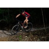 Matt Stegall's photo