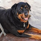 Maxine Cyr's photo