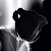 Hartmut Siewert's photo