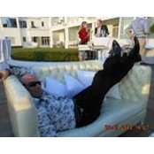 Andre Ruster's photo