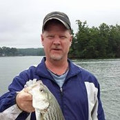 Foto de Greg Cobb
