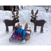 Karl Morrisseau's photo