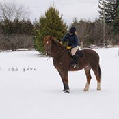 Katie Stephenson's photo