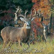 Randy Dunmire's photo