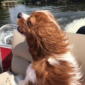 Carol Mathias's photo
