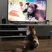 Amandine Cyt's photo