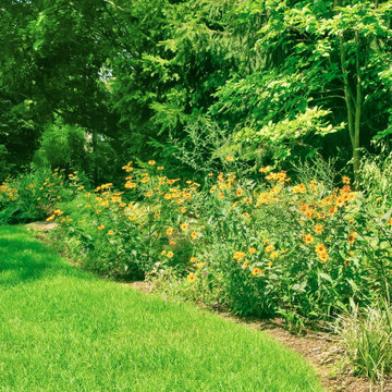 Ecological Pool & Playscape
