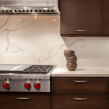 Mid Century Modernized