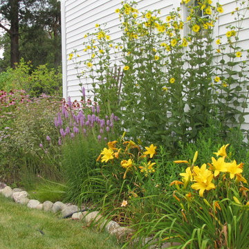 Native Perennial Gardens