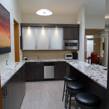 Modern Kitchen Renovation