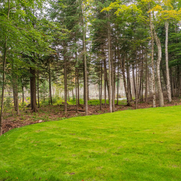 Forest Edge