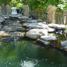 Backyard pond ideas