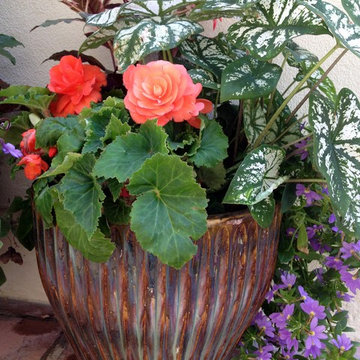 Container Garden