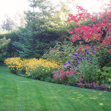 landscape ideas for a wooded backyard