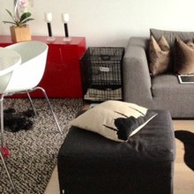 Best solution for Dog bed in small apartments.