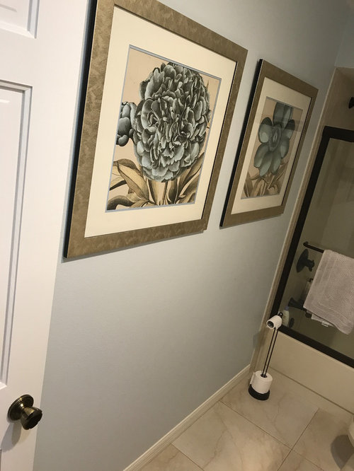 Need help with cosmetic bathroom doover/renovation