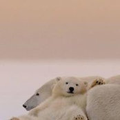 Cindy McGrath's photo