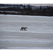 Warren Schroeder's photo