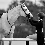 Nicole Bourgeois's photo