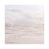Kim Cutler's photo