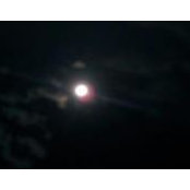 Terri Hollis Wilkinson's photo