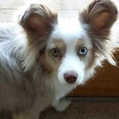 Karen Eagan's photo