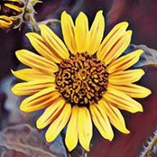 Foto von Stephanie Goodman