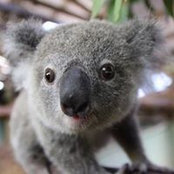 Amber Keiper's photo