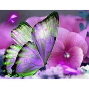 Thera Grady's photo