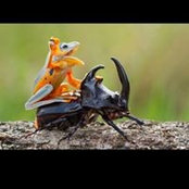 Alejandro Londono's photo