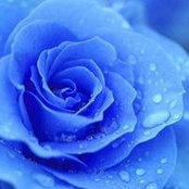 Pam Downey's photo