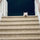 amy_bouchard