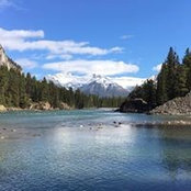 Diane Teece's photo