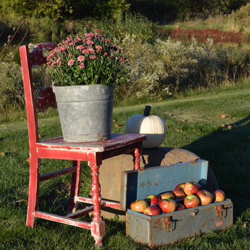 Fall Decorations